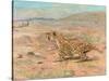 Cheetah in the Wild-Cuthbert Swan-Stretched Canvas