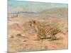 Cheetah in the Wild-Cuthbert Swan-Mounted Art Print