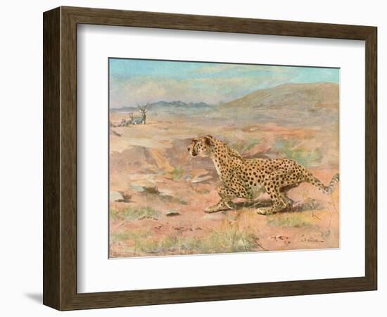 Cheetah in the Wild-Cuthbert Swan-Framed Art Print