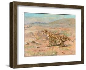 Cheetah in the Wild-Cuthbert Swan-Framed Art Print