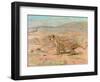 Cheetah in the Wild-Cuthbert Swan-Framed Art Print