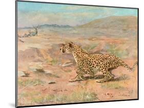 Cheetah in the Wild-Cuthbert Swan-Mounted Art Print