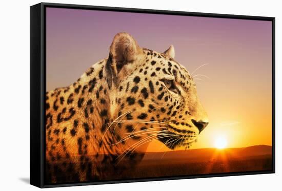 Cheetah, Masai Mara, Kenya, East Africa, Africa-Angelo Cavalli-Framed Stretched Canvas