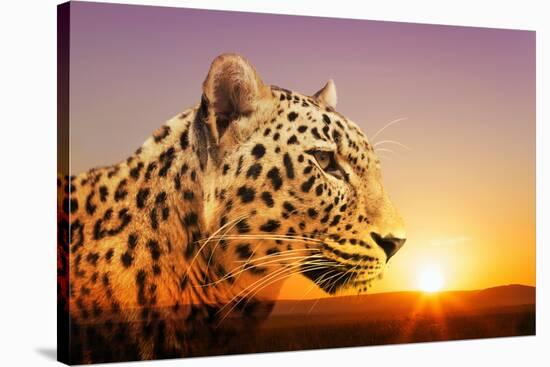 Cheetah, Masai Mara, Kenya, East Africa, Africa-Angelo Cavalli-Stretched Canvas