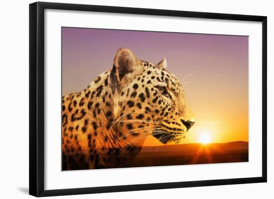 Cheetah, Masai Mara, Kenya, East Africa, Africa-Angelo Cavalli-Framed Photographic Print