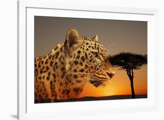 Cheetah, Masai Mara, Kenya, East Africa, Africa-Angelo Cavalli-Framed Photographic Print