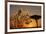 Cheetah, Masai Mara, Kenya, East Africa, Africa-Angelo Cavalli-Framed Photographic Print