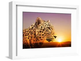 Cheetah, Masai Mara, Kenya, East Africa, Africa-Angelo Cavalli-Framed Photographic Print