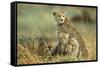 Cheetah Mother with Two or Three-Month Old Cubs-null-Framed Stretched Canvas