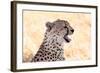 Cheetah N the Masai Mara Reserve in Kenya Africa-OSTILL-Framed Photographic Print