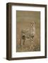 Cheetah, Ngorongoro Conservation Area, Tanzania-Paul Souders-Framed Photographic Print