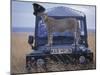 Cheetah on Hood of Safari Truck, Masai Mara Game Reserve, Kenya-Paul Souders-Mounted Photographic Print