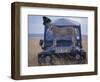 Cheetah on Hood of Safari Truck, Masai Mara Game Reserve, Kenya-Paul Souders-Framed Photographic Print