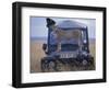 Cheetah on Hood of Safari Truck, Masai Mara Game Reserve, Kenya-Paul Souders-Framed Photographic Print