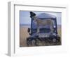 Cheetah on Hood of Safari Truck, Masai Mara Game Reserve, Kenya-Paul Souders-Framed Photographic Print