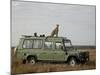 Cheetah on Safari Vehicle, Masai Mara National Reserve, Kenya, East Africa-James Hager-Mounted Photographic Print