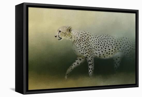 Cheetah on the Prowl-Jai Johnson-Framed Stretched Canvas