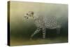 Cheetah on the Prowl-Jai Johnson-Stretched Canvas