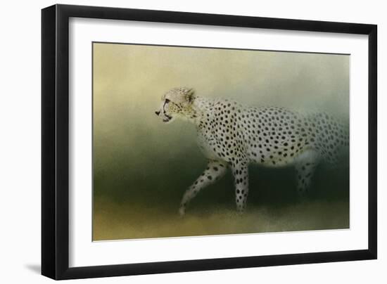 Cheetah on the Prowl-Jai Johnson-Framed Giclee Print