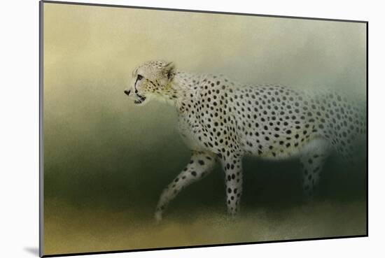 Cheetah on the Prowl-Jai Johnson-Mounted Giclee Print