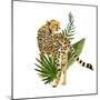 Cheetah Outlook III-Annie Warren-Mounted Art Print