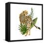 Cheetah Outlook III-Annie Warren-Framed Stretched Canvas