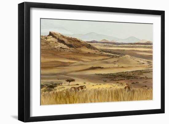 Cheetah pair hunting, 2013-Francesca Sanders-Framed Giclee Print