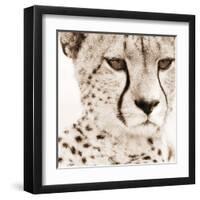 Cheetah Pattern-Frank & Susann Parker-Framed Art Print