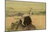 Cheetah Resting on Mound-null-Mounted Photographic Print