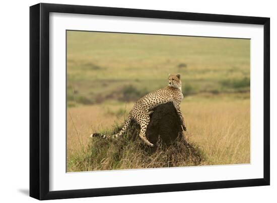Premium Photographic Print, , large