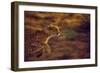 Cheetah Running-null-Framed Photographic Print