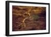 Cheetah Running-null-Framed Photographic Print