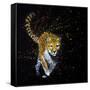 Cheetah Running-null-Framed Stretched Canvas