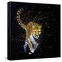 Cheetah Running-null-Framed Stretched Canvas