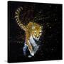 Cheetah Running-null-Stretched Canvas