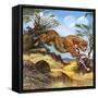 Cheetah Running-G. W Backhouse-Framed Stretched Canvas