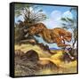 Cheetah Running-G. W Backhouse-Framed Stretched Canvas