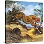 Cheetah Running-G. W Backhouse-Stretched Canvas