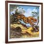 Cheetah Running-G. W Backhouse-Framed Giclee Print