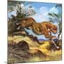 Cheetah Running-G. W Backhouse-Mounted Giclee Print