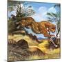 Cheetah Running-G. W Backhouse-Mounted Giclee Print