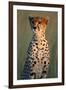 Cheetah Sitting in Grass-Paul Souders-Framed Premium Photographic Print