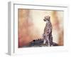 Cheetah Sitting on a Hill and Looking Around-Svetlana Foote-Framed Photographic Print