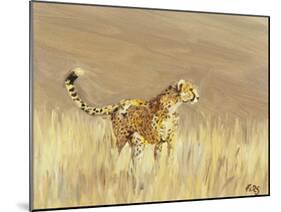 Cheetah study 1, 2015-Francesca Sanders-Mounted Giclee Print