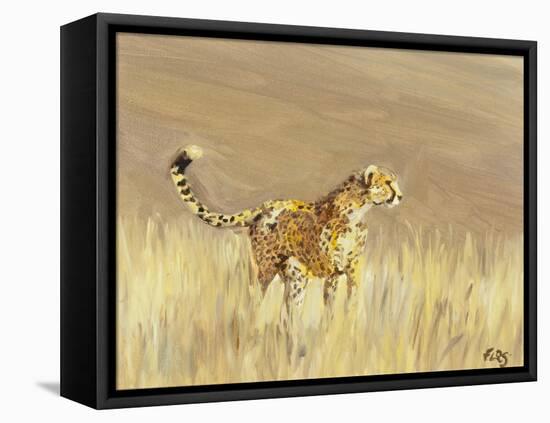 Cheetah study 1, 2015-Francesca Sanders-Framed Stretched Canvas