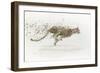 Cheetah v.2-James Wiens-Framed Art Print