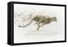 Cheetah v.2-James Wiens-Framed Stretched Canvas