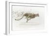 Cheetah v.2-James Wiens-Framed Premium Giclee Print