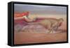 Cheetah versus Jaguar-Lincoln Seligman-Framed Stretched Canvas