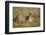 Cheetah with Baby Thomson's Gazelle-null-Framed Premium Photographic Print